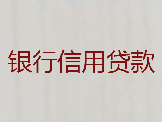 宁乡市贷款公司-银行信用贷款